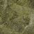Alga Green