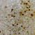colonial cream granite countertop