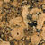 giallo fiorita granite countertop