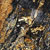 magma gold granite countertop