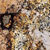 mascarello granite countertop